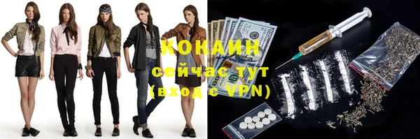 PSILOCYBIN Вяземский