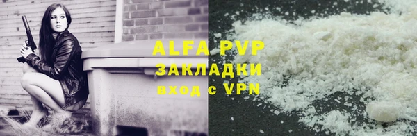 PSILOCYBIN Вяземский