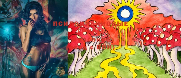 PSILOCYBIN Вяземский