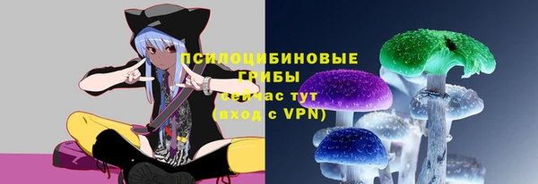 хмурый Вязники