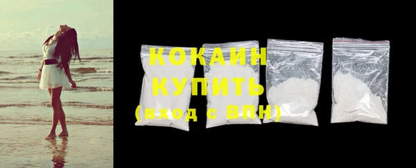 PSILOCYBIN Вяземский