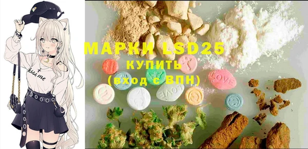 PSILOCYBIN Вяземский
