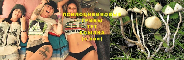 прущая мука Вязьма