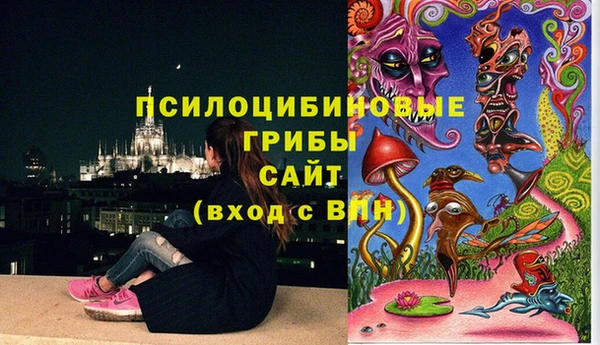 хмурый Вязники