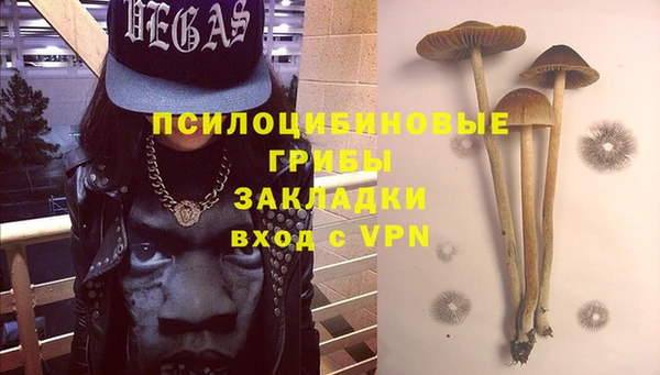 PSILOCYBIN Вяземский