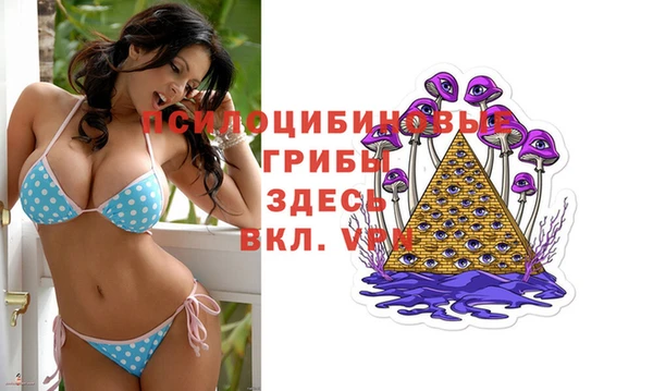 хмурый Вязники