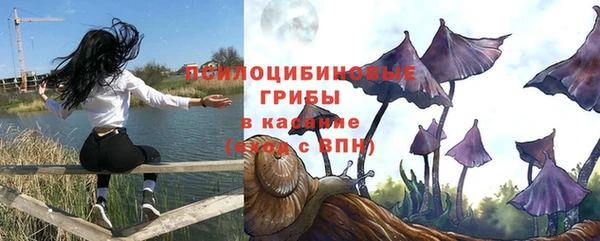 хмурый Вязники