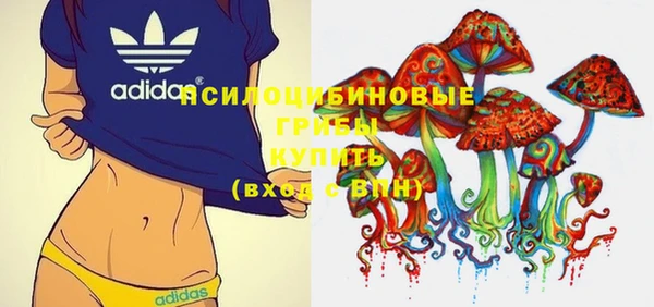 PSILOCYBIN Вяземский