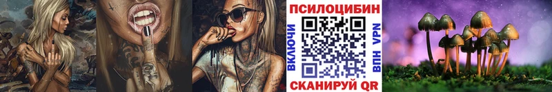 Галлюциногенные грибы мицелий  Шагонар 